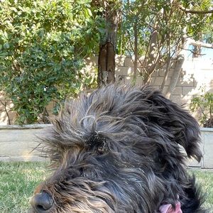 Meet your Posher, Mia